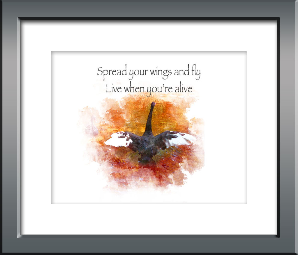 Printable Posters