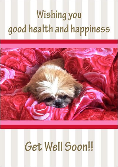 Good health & happiness Card 003