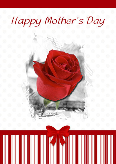 Single Red Rose For Your Mom 016